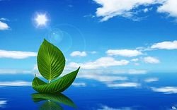 Логотип компании «СПД» из города Мариуполь.